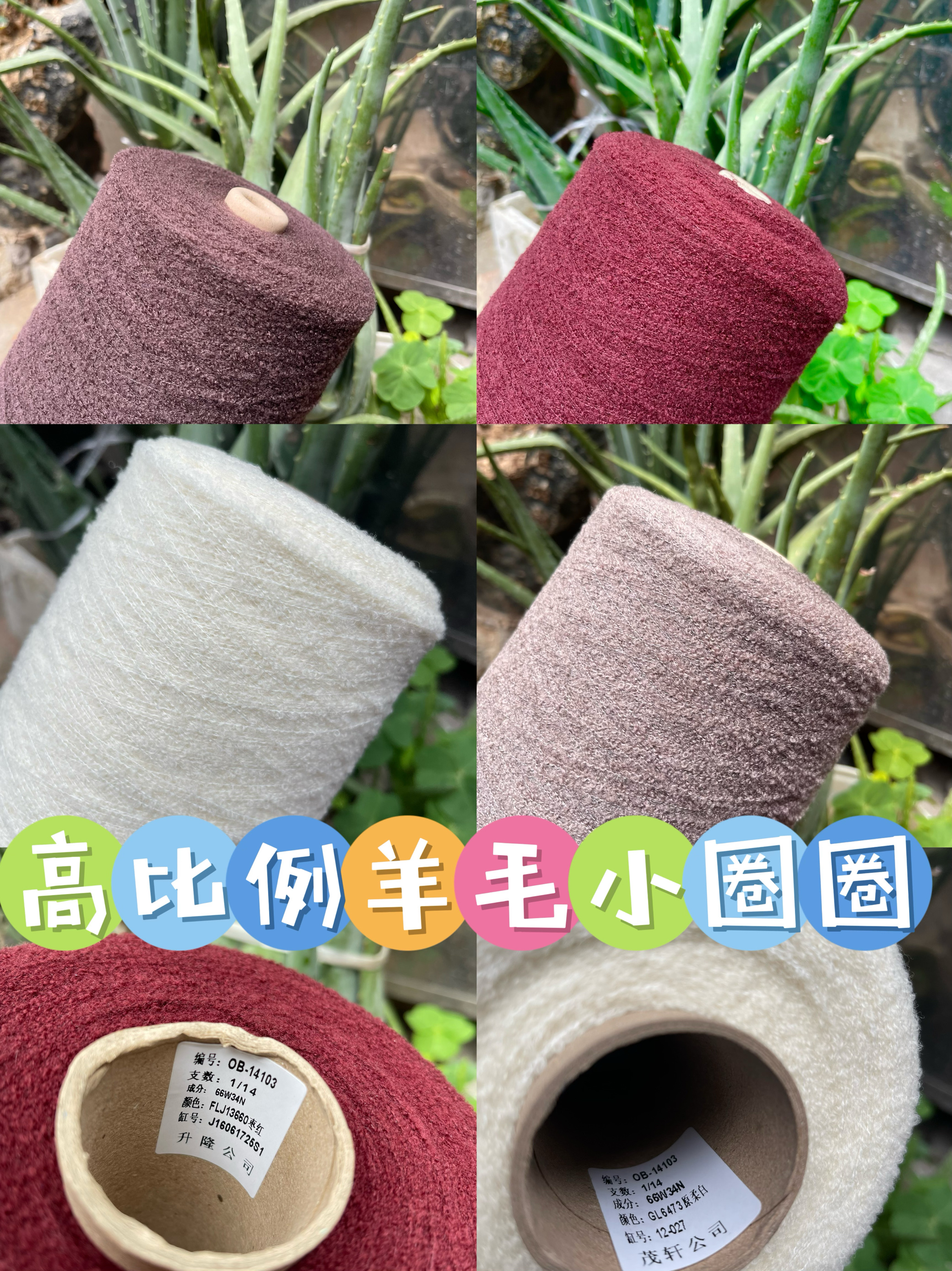 标价半斤 高比例66羊毛小圈圈 特柔软手编毛衣 围巾线