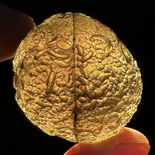 美国哥伦比亚玻璃陨石天狼星陨石如意宝珠星际之石Columbia原石