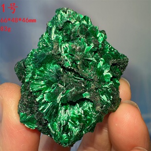 刚果孔雀石针状绒光矿物晶体 天然绿色原石矿物 观赏收藏教学标本
