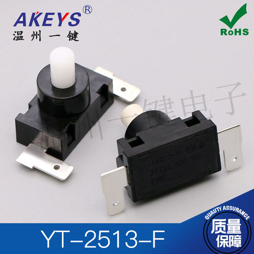 YT-F配件电源两脚吸尘器开关