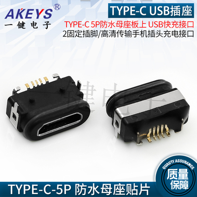 TYPE-C 麦克 MICRO 5P防水母座板上带2固定插脚 USB高清充电接口
