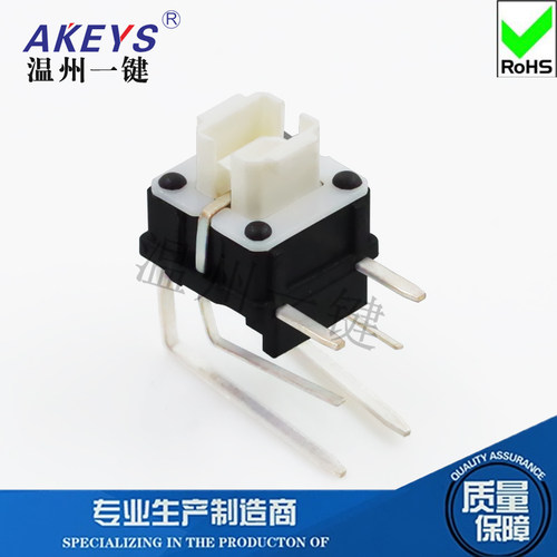 TS-H0106*6轻触开关带灯