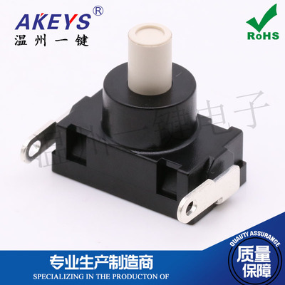 KAN-J4电源微动开关两脚侧