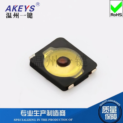 TS-C011轻触开关24AB连接器