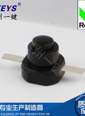 1010-H按钮自锁平脚无孔强光手电筒电源开关LG-19A一开一关PS-19A