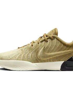 NIKE耐克春男LeBron XXI EP詹姆斯缓震实战篮球鞋FZ7884-700