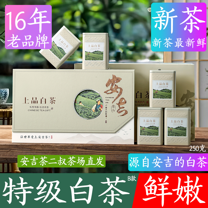 现货2025年安吉产地白茶礼盒装