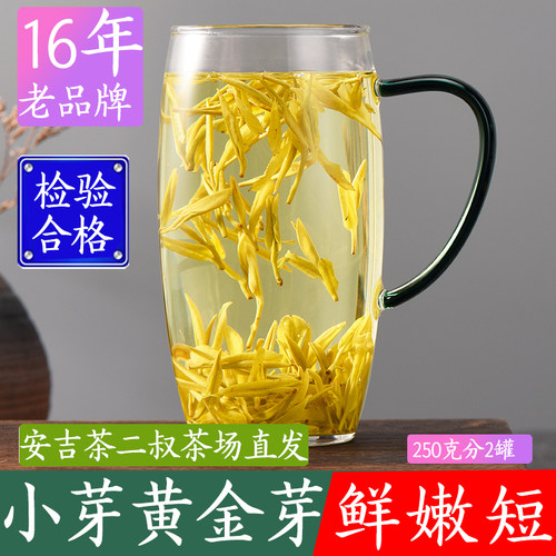 茶二叔正宗2026年安吉黄金芽特级