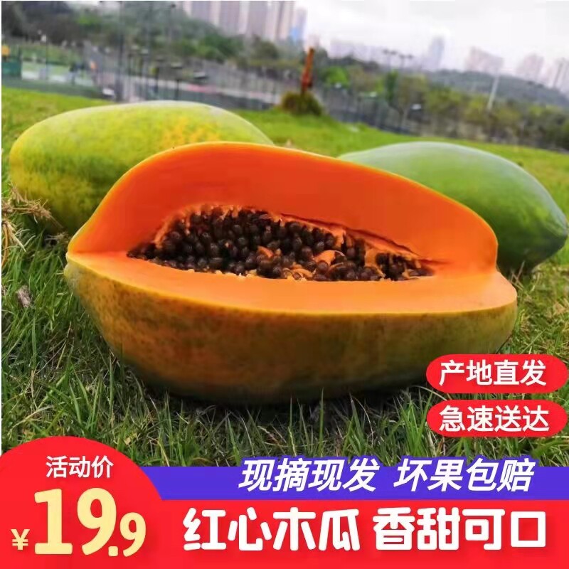 广西冰糖红心木瓜8斤净果新鲜当季热带水果木瓜海南木瓜包邮包甜