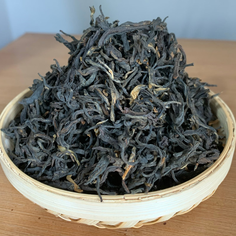古树晒红滇红茶早春晒红