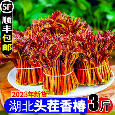 湖北特产香椿芽头茬嫩芽时令蔬菜