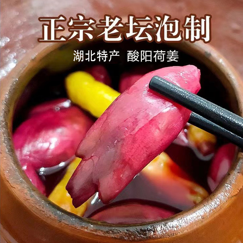恩施酸阳荷泡菜洋荷姜酸辣老坛腌制洋火姜洋河农家洋合笋1斤洋荷