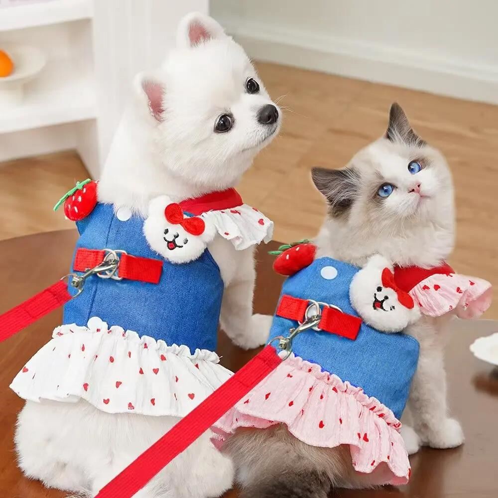 狗狗衣服女生胸背宠物猫咪公主款牛仔卡通牵引裙小型犬春夏装新品