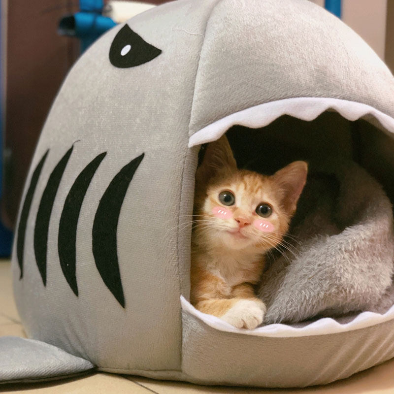 猫窝四季通用鲨鱼房子睡袋狗窝小型犬封闭式猫咪用品冬季保暖冬天