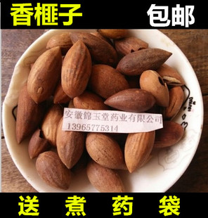 中药材生香榧子 新货玉山果 赤果 玉榧 木榧子 大榧子 500克包邮