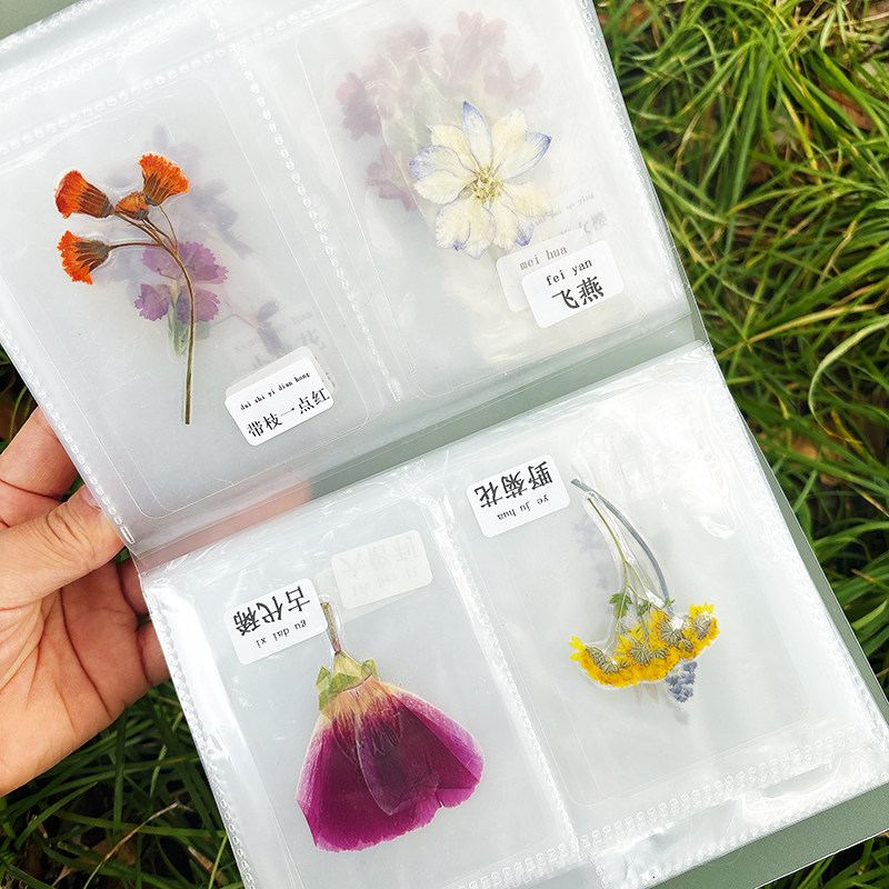 天然植物标本收集册塑封DIY手工创意四宫格幸运相册标本收纳册