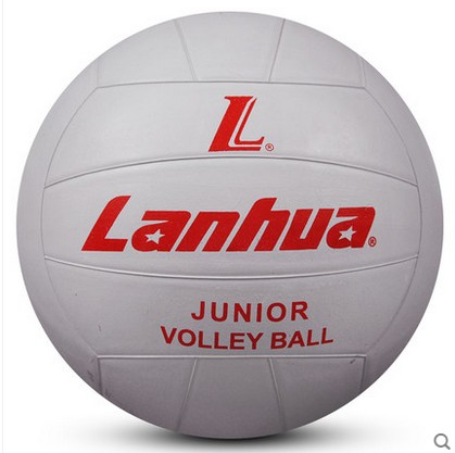 Ballon de volley-ball - Ref 2008386 Image 1
