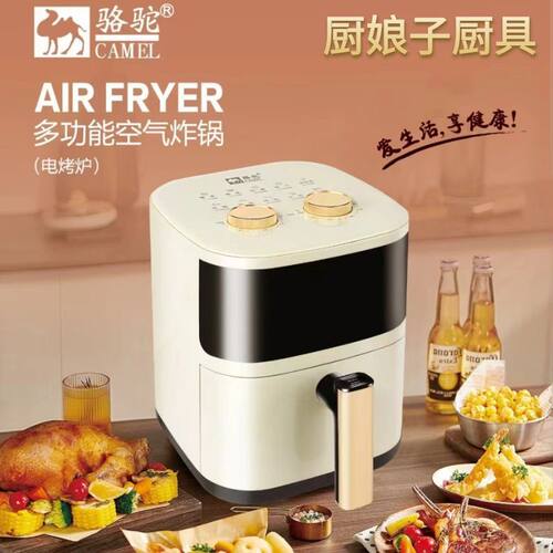 ElectricAFryCookOLess