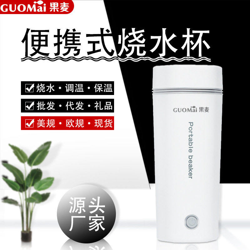110V出口便携是电热水杯