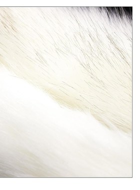 Natural Bamboo Slave spanking paddle Whip Fetish Adult Games