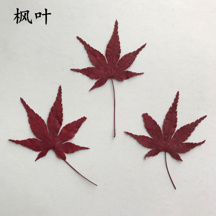 叶红贺卡diy滴胶手机壳押花画图片