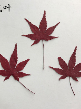 叶红贺卡diy滴胶手机壳押花画