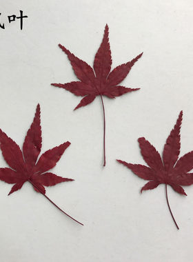 叶红贺卡diy滴胶手机壳押花画