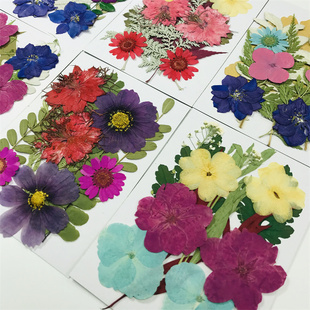 真花diy干花灯罩家居装饰摆件押花画框贴画儿童手工压花植物标本