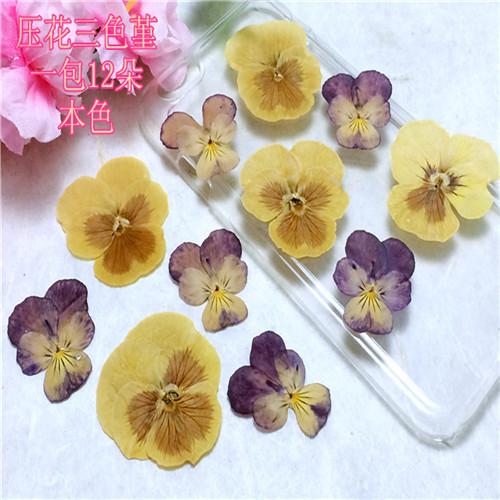 三色堇香瑾阳蝶花押花干花滴胶DIY植物标本教学手工压花真花_虎窝淘