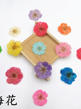 香薰蜡烛干花diy梅花腊梅