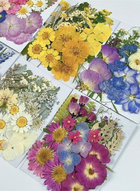 树叶干花包diy手工花材包压花贴画材料装饰植物教学标本拍摄花材