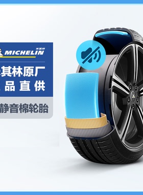 米其林轮胎 235/45ZR18 98Y竞驰4 PILOT SPORT 4  特斯拉T1静音棉