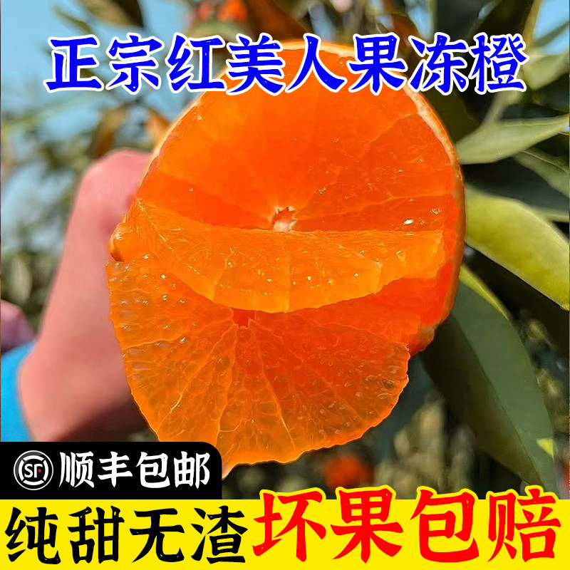 【过年送礼】正宗浙江红美人果冻橙柑橘爱媛28号新鲜孕妇水果年货,水产肉类/新鲜蔬果/熟食,桔子,淘宝优惠券,粉丝福利购,淘宝优惠卷