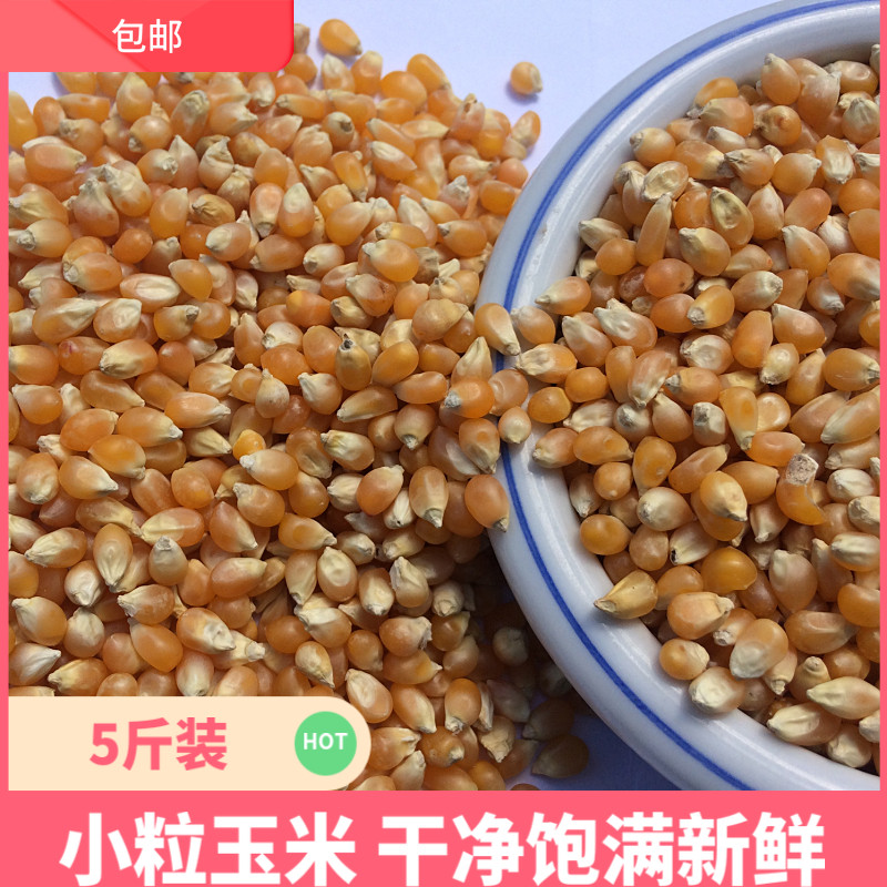 美顿宝小粒玉米鸽粮5斤爆米花圆球杂粮食鸽子赛鸽信鸽 观赏鸽饲料