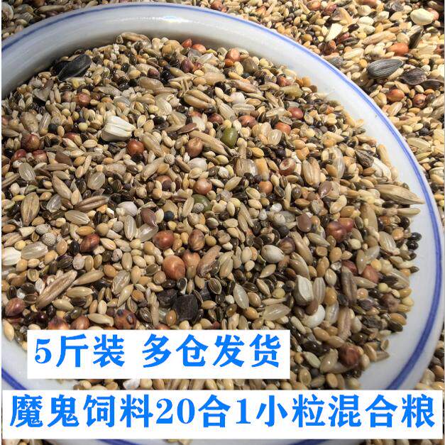 美顿宝魔鬼饲料鸽子斑鸠鹦鹉