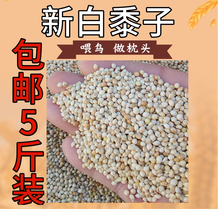 鸟食白糜子白黍子带壳大黄米1件5斤饲料中小型鹦鹉虎皮牡丹玄凤