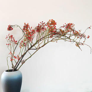 山归来鲜切枝条蔷薇果鲜花水养植物家用插花高级花材云南直发顺丰