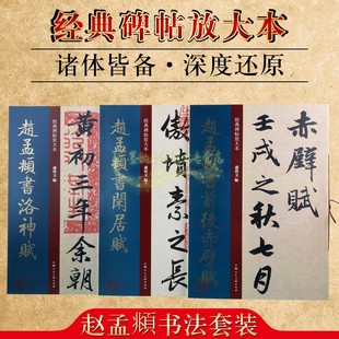 碑帖放大本赵孟頫书系列前后赤壁赋洛神赋闲居赋套装 共3册 中国古典传统文化书法经典 社 经典 著作畅销阅读书籍正版 上海人民美术出版