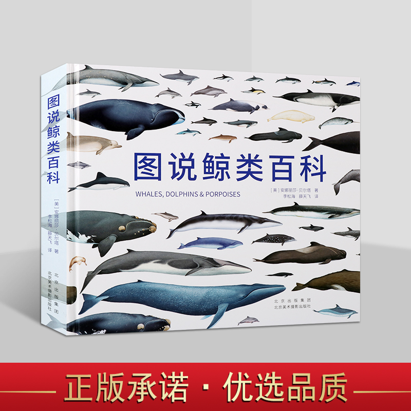 图说鲸类百科(美)安娜丽莎.贝尔塔著中文全译本 海洋动物百科全书鲸鱼种类生活习性科普知识鲸类动物分类研究术语北京美术摄影社