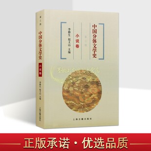 石玉良著大中专高等学校中国文言文小说话本小说章回小说文学史教材小学史教材 中国分体文学史 第三版 小说卷 社 上海古籍出版