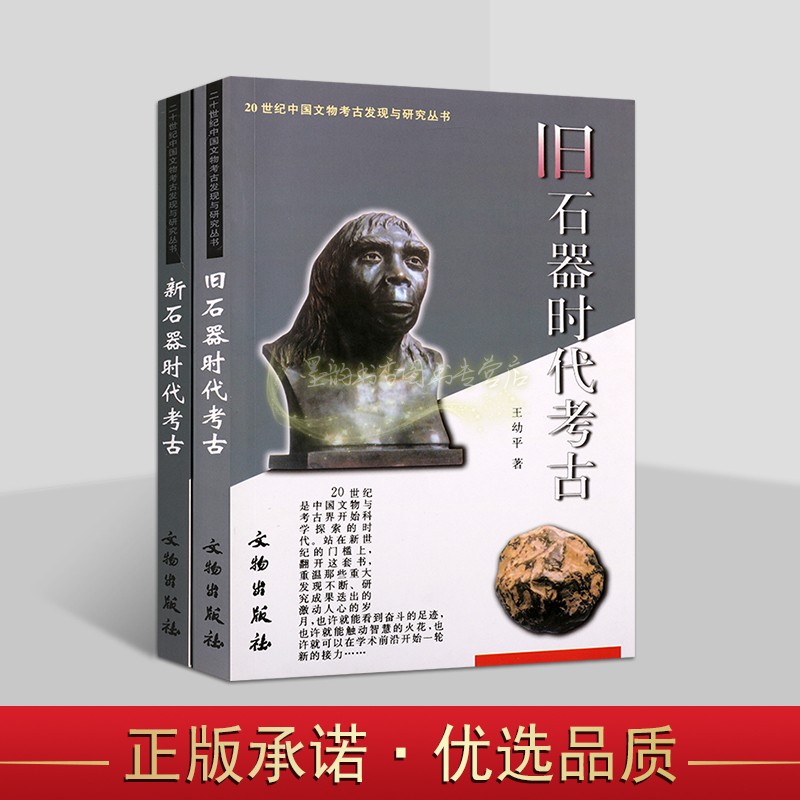 20世纪中国文物考古发现与研究丛书旧/新石器时代考古(全套2册)遗迹古迹考古发掘记录文献资料文物出版社书