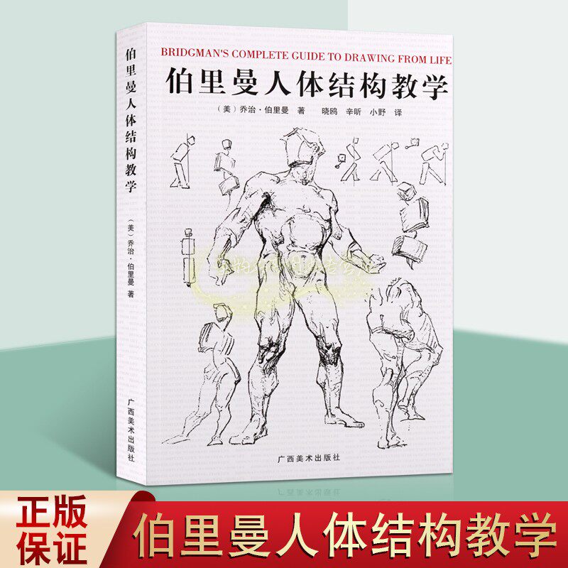 伯里曼人体结构教学   美乔治伯里曼 著  艺术工艺美术  广西美术出版