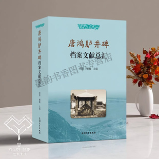 唐鸿胪井碑档案文献总汇 段勇姬巍编中国考古文物档案文献资料碑文唐鸿庐井原先学术研究论文 上海大学出版社书籍