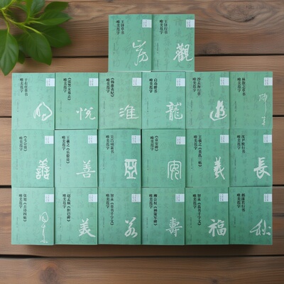 【配视频讲解】书家口袋书(全套20册)法名家楷隶行草篆书经典碑帖单字放大范字书写临摹学习教程王铎启功于右任吴昌硕64开唯美范字
