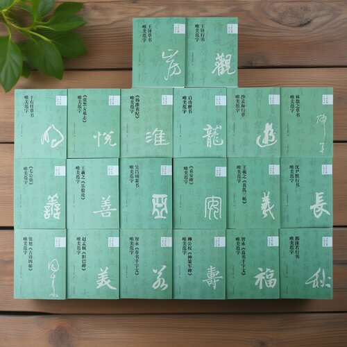 【配视频讲解】书家口袋书(全套20册)法名家楷隶行草篆书经典碑帖单字放大范字书写临摹学习教程王铎启功于右任吴昌硕64开唯美范字