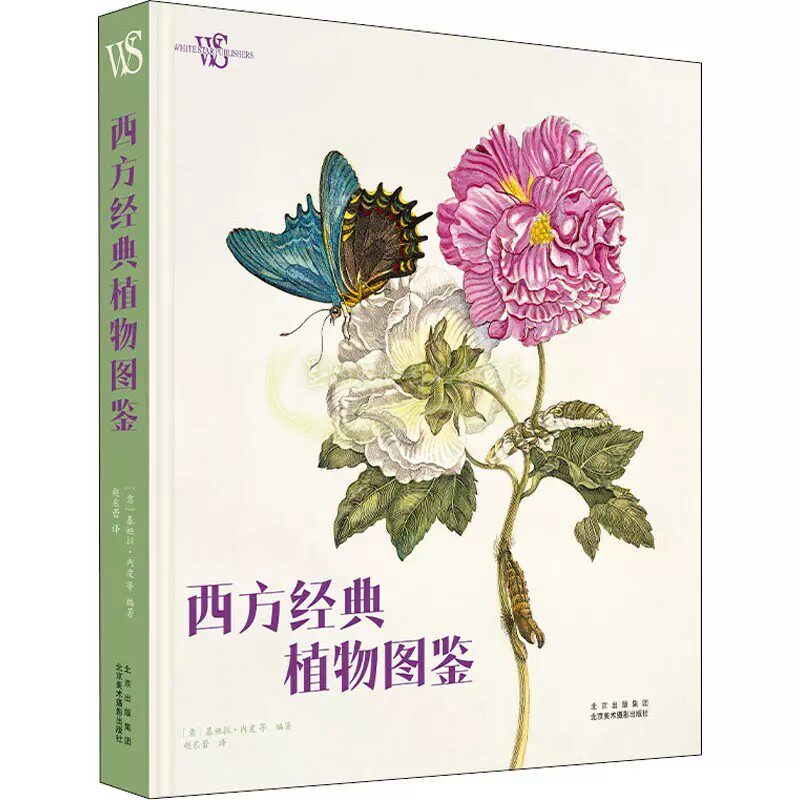 西方经典植物图鉴 外国近20个世纪珍稀物种手绘插图绘画艺术与植物学科普知识无花果树朝鲜莉蓟精美画册北京美术摄影社书籍