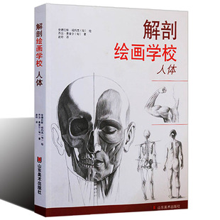 正版 解剖绘画学校 人体 (匈)祖约西 费舍尔 艺用人体解剖学细节图 身体轮廓结构 美术培训绘画入门基础教材教程山东美术出版书籍