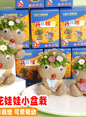 开花娃娃长草头娃娃迷你儿童植物盆栽室内阳台抖音同款桌面小盆栽