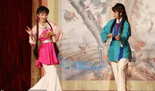 戏剧戏曲京剧豫剧戏装黄梅戏对花演出服花旦书童青衣丫鬟服饰包邮