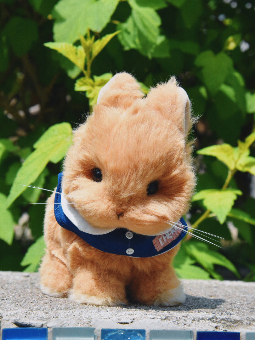 毛绒玩偶材料包手工猫憩